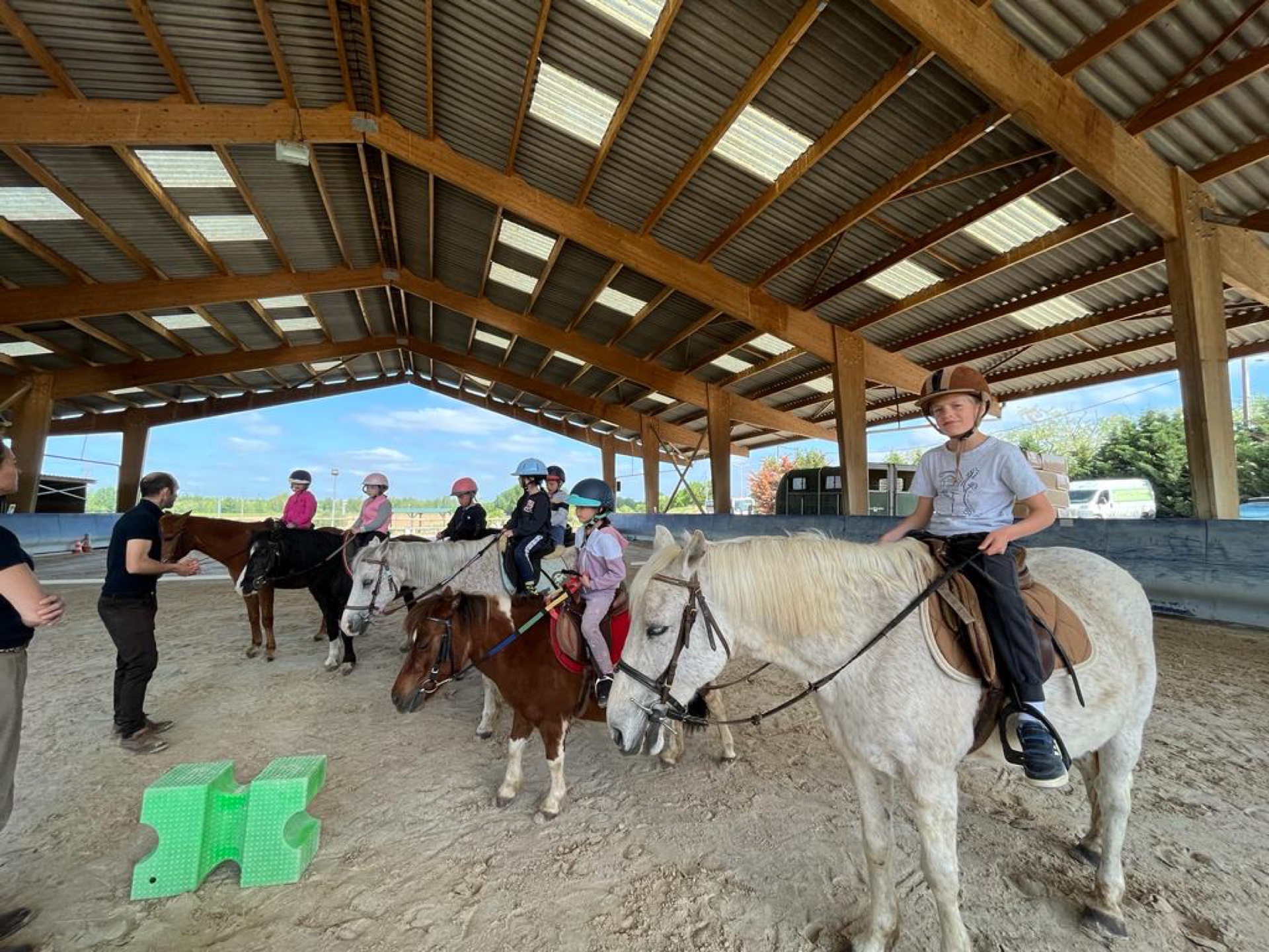 Poney